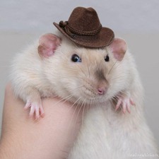 Rat Mother