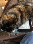 Bookgeek