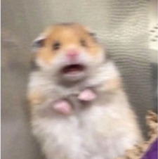 Em
