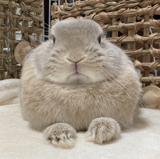 Dylan Hardy cool guy