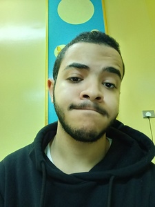 Mohamed Ibrahim