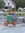 Claudia  Busto Wetzel 