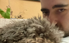 koke
