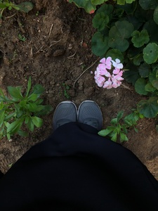 آلاء  عبدالباسط