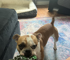 Christopher Vandetti