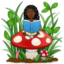 Lisandra Carrasquillo