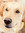 member photo member photo