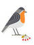 Robin