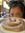 Ashley Straight