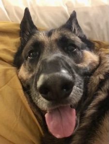 Jaime