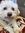 Cathy Helms | 1 comments