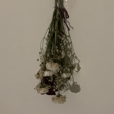 a.sott