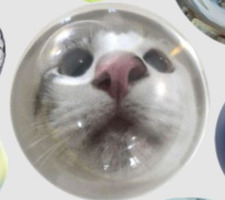 amali*°:⋆