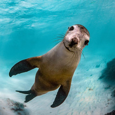 paula (taylor’s version)