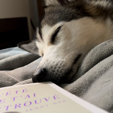 Nathanielle Thibault