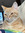 Lilli (lillicash) | 1 comments