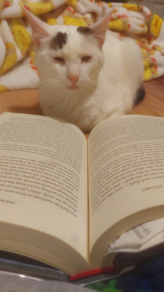 Goodreads profile picture for @calico