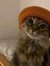 Sam
