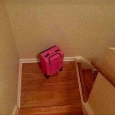 Auggie the Auspicious