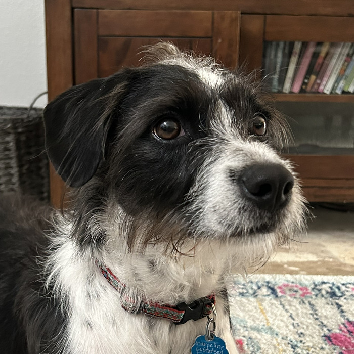 Goodreads profile picture for @kgus