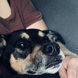 Josie