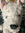 Hollie | 6 comments