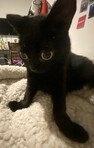 Sam