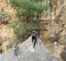 Carlos Martínez Cárcel