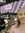 member photo member photo