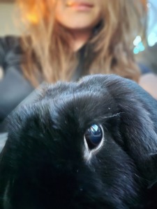 Nim