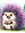 Molly | 6 comments