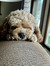 Marlee ...