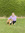 Kim Hill