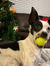 Kyleah