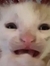 egomaniakk