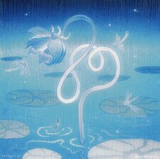 ˚｡⋆ shai ⋆｡˚