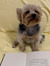 Miffy_thereader21