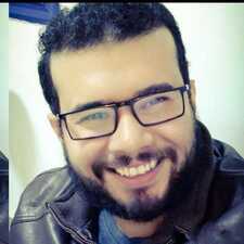 Ashraf Mehany Abozayd