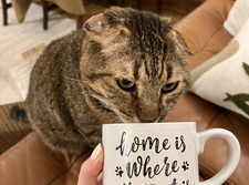 Caroline ☕️