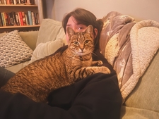 Cate