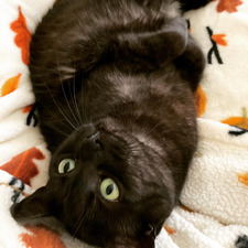 Zoe