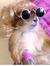 Myob 