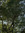 user707 | 3 comments