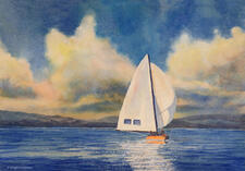 Ailsa May