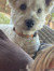 Lucy M