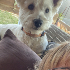 Lucy M