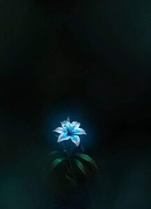 ميمونة  أحمد  سلامه 