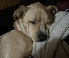 Natalie Weaver Olson 