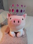 kingusia 