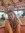 Elyse S...